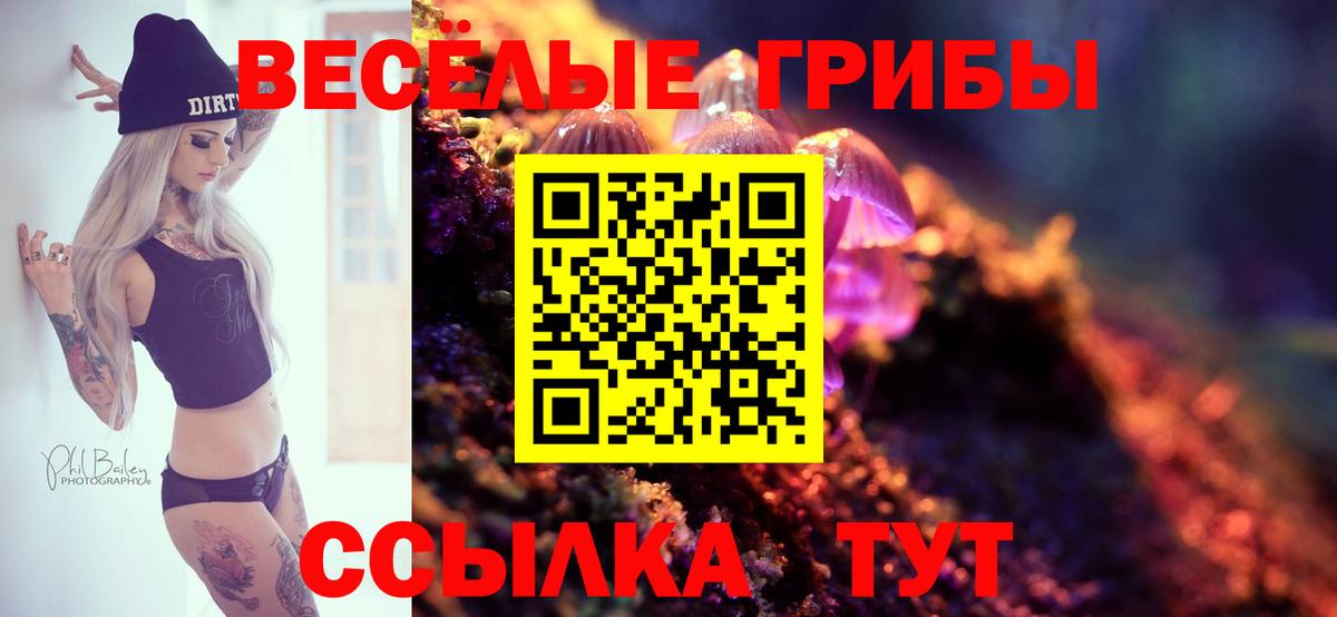 Михайловка  Псилоцибиновые грибы мухоморы  где продают наркотики  Вход с VPN  Галлюциногенные грибы MAGIC MUSHROOMS 